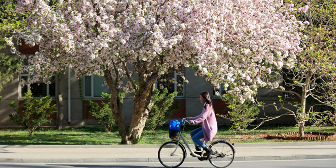 多彩同盟(中国游)官方网站