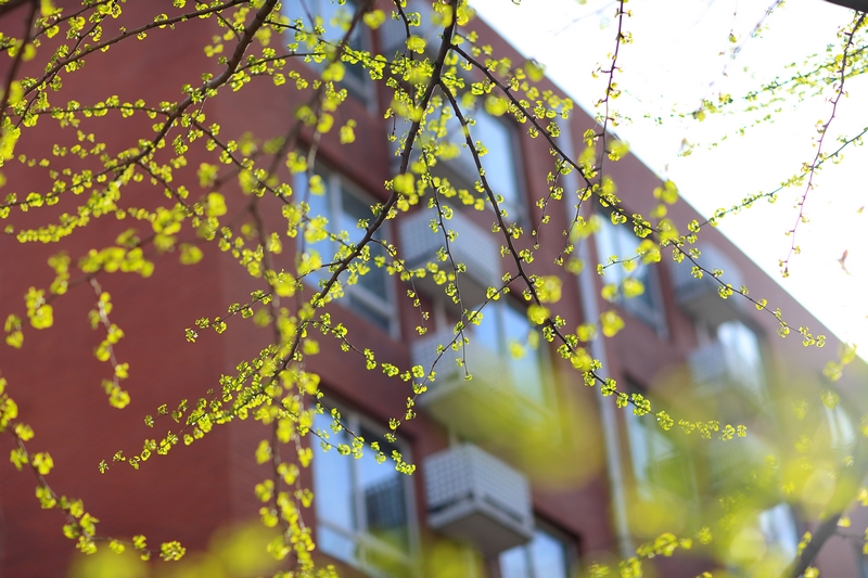 多彩同盟(中国游)官方网站