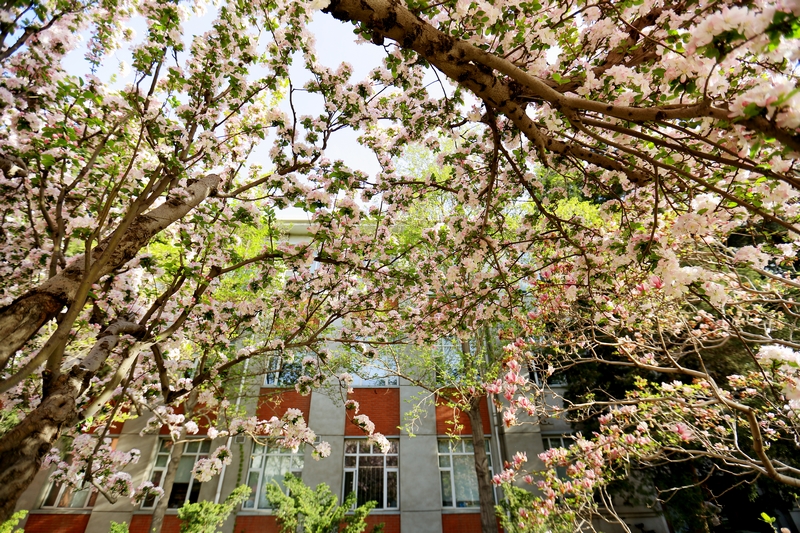 多彩同盟(中国游)官方网站