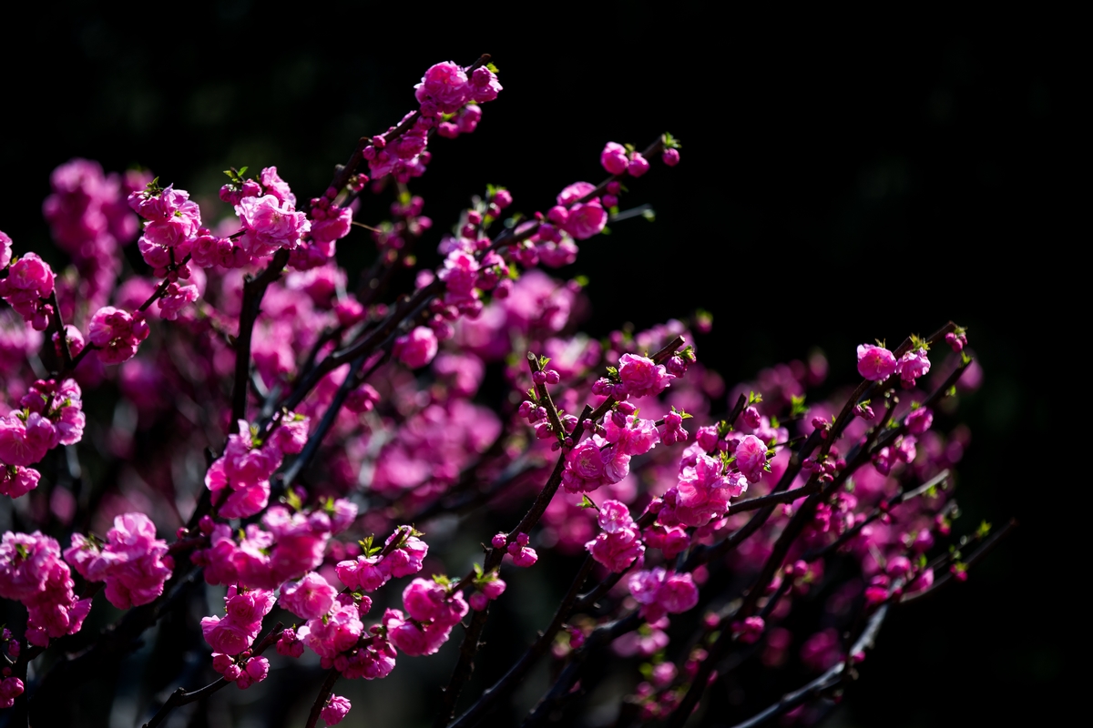 多彩同盟(中国游)官方网站