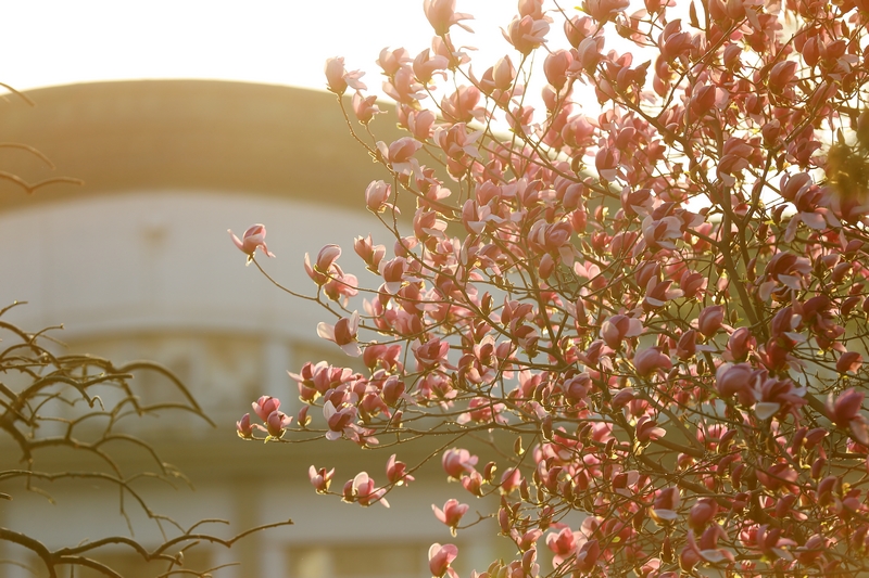 多彩同盟(中国游)官方网站