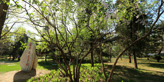 多彩同盟(中国游)官方网站