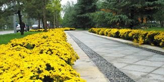 多彩同盟(中国游)官方网站