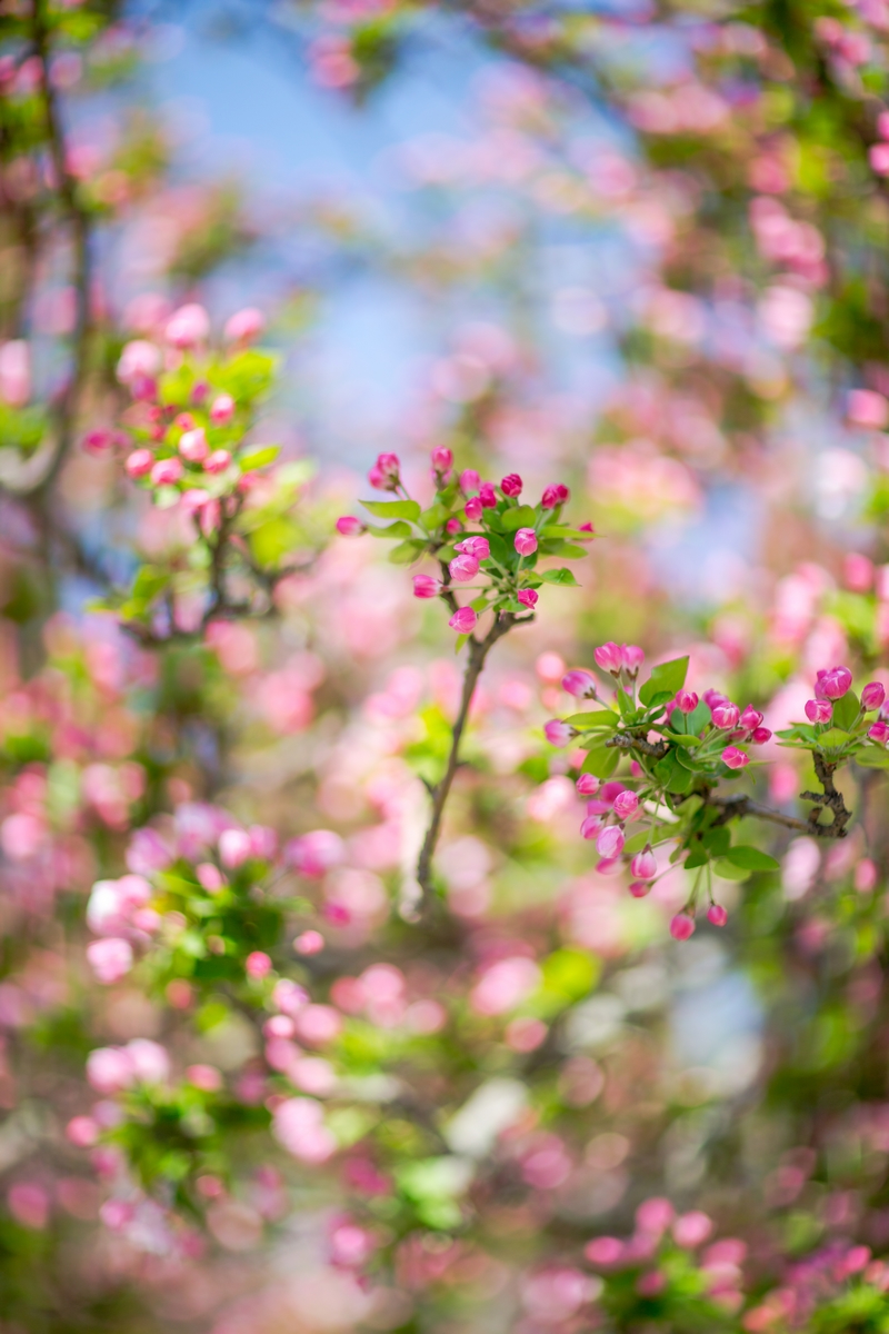 多彩同盟(中国游)官方网站