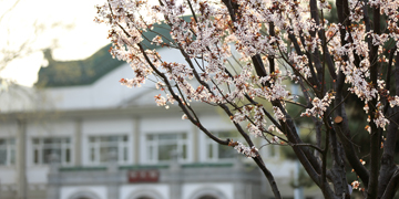 多彩同盟(中国游)官方网站