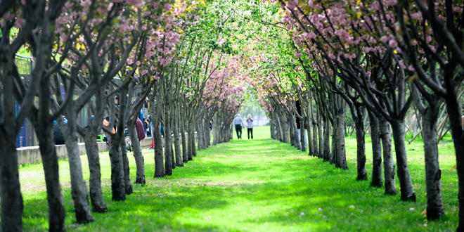 多彩同盟(中国游)官方网站