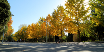 多彩同盟(中国游)官方网站