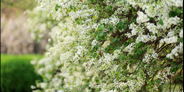 多彩同盟(中国游)官方网站