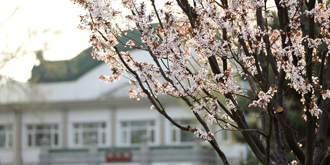 多彩同盟(中国游)官方网站