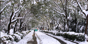 多彩同盟(中国游)官方网站