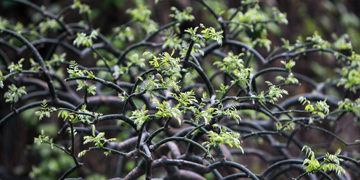 多彩同盟(中国游)官方网站