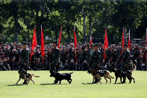 多彩同盟(中国游)官方网站