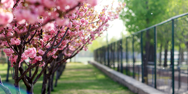 多彩同盟(中国游)官方网站