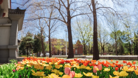 多彩同盟(中国游)官方网站