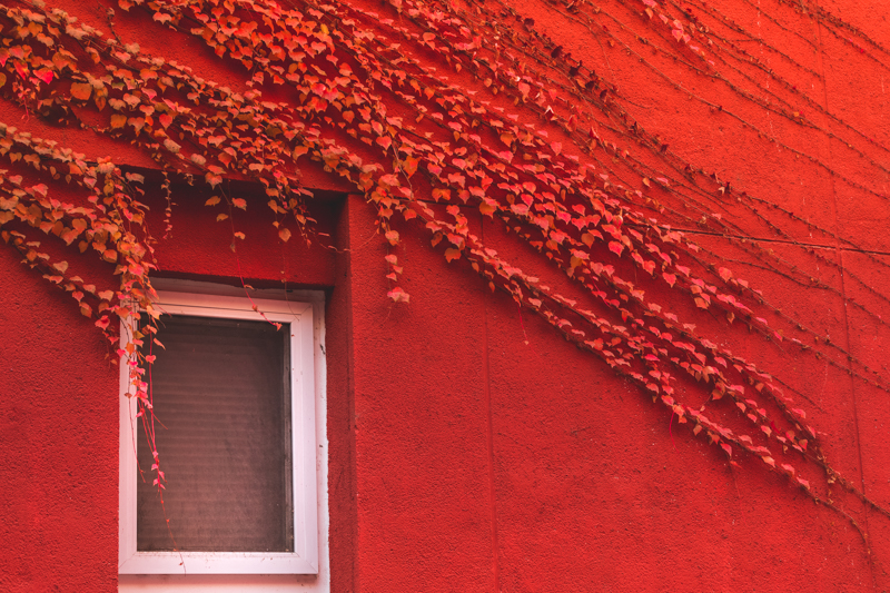 多彩同盟(中国游)官方网站