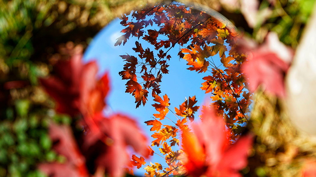 多彩同盟(中国游)官方网站
