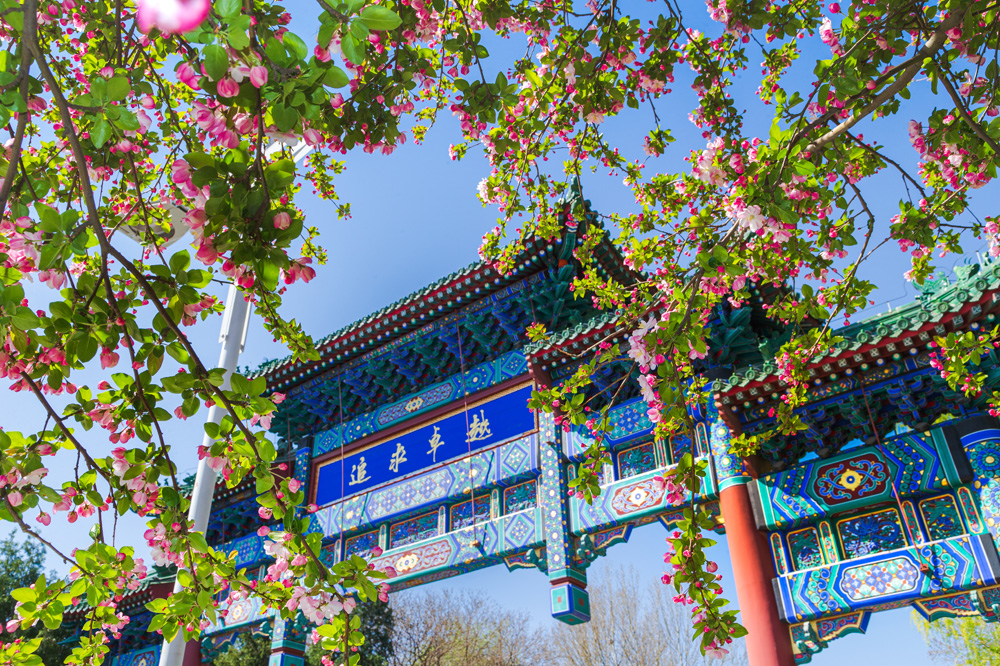 多彩同盟(中国游)官方网站