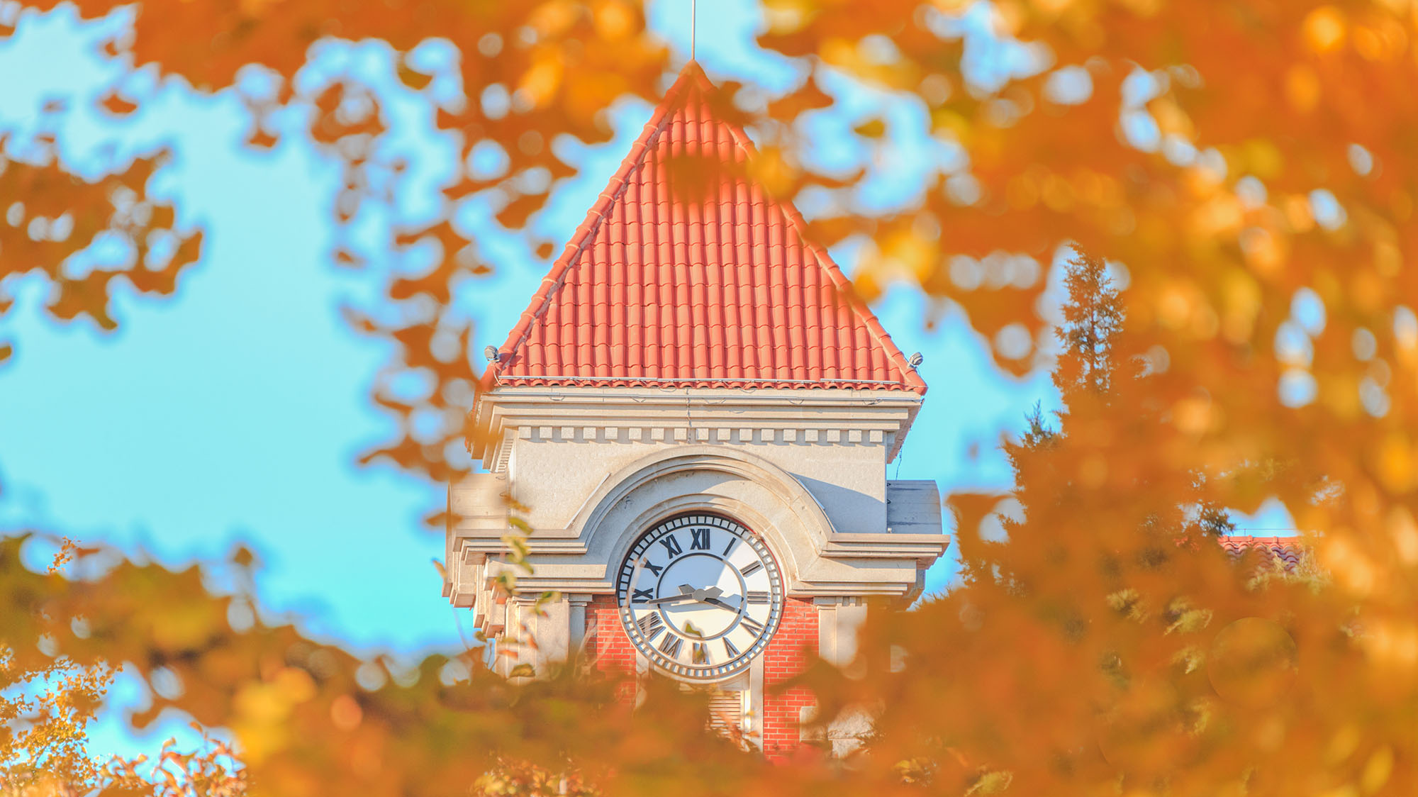 多彩同盟(中国游)官方网站