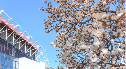 多彩同盟(中国游)官方网站